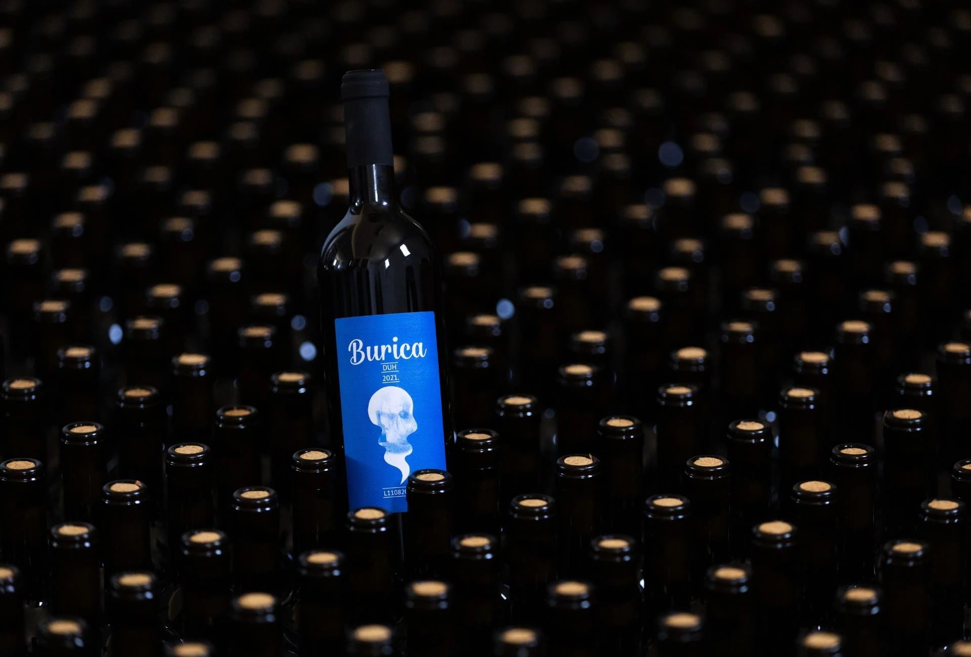 Hero image for Burica Winery winery