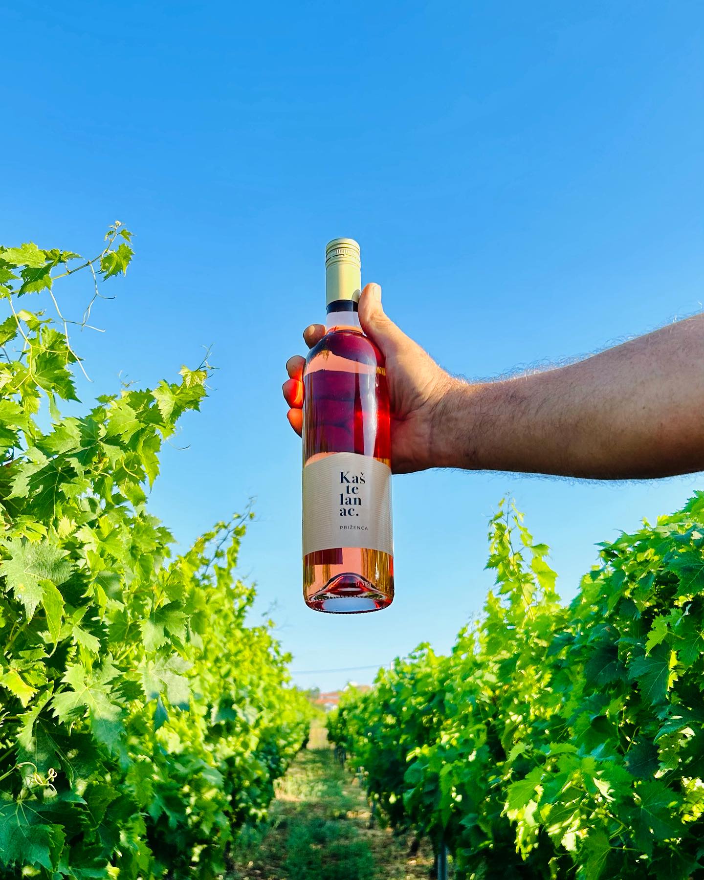Hero image for Kaštelanac Vinarija winery
