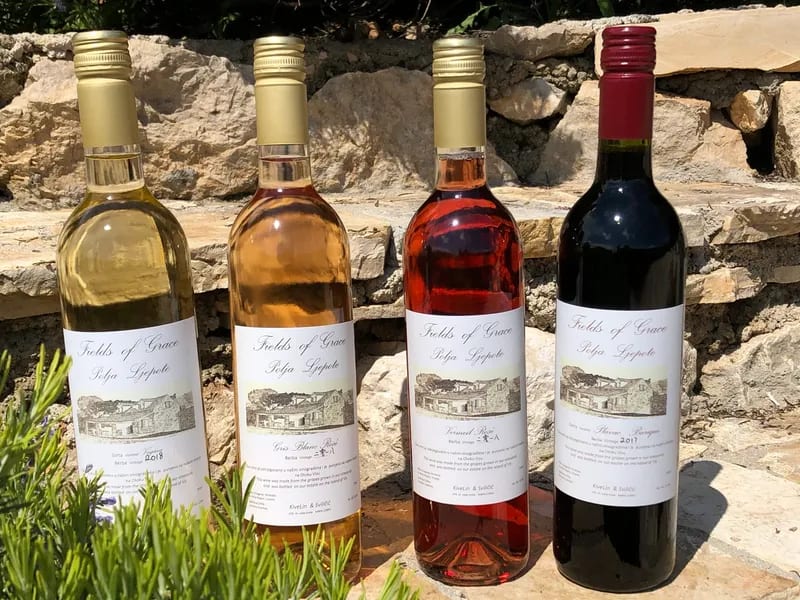 Hero image for Fields of Grace Vinarija winery