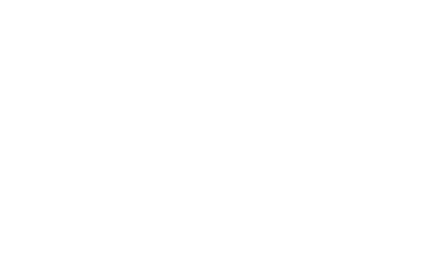 Roki’s Vinarija winery logo