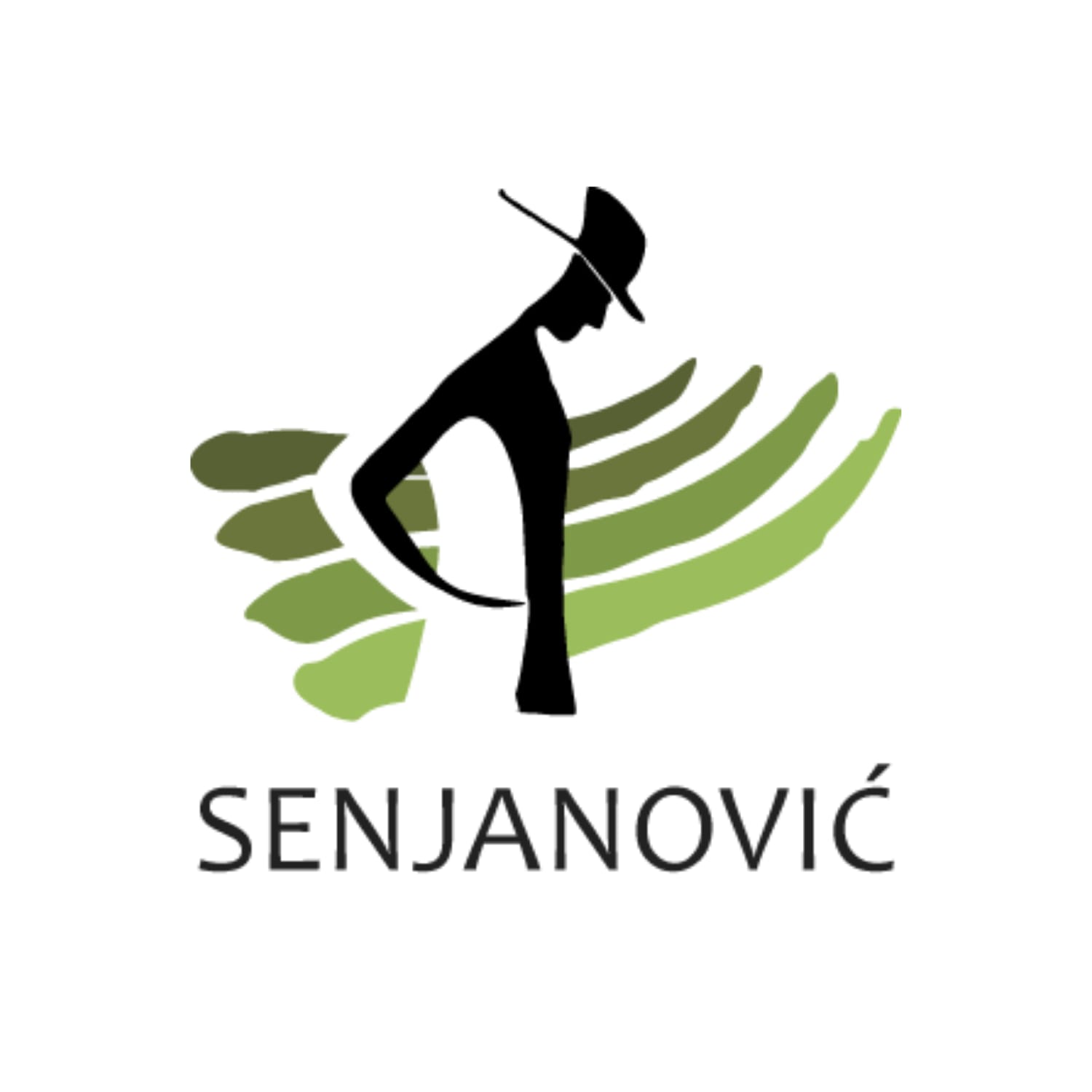 Senjanović Vinarija winery logo