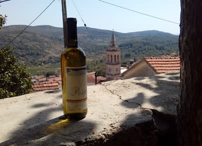 Tomašić Stipe Vinarija winery logo