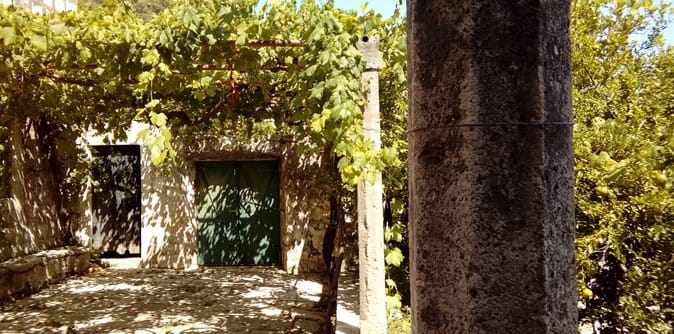 Hero image for Tomašić Stipe Vinarija winery