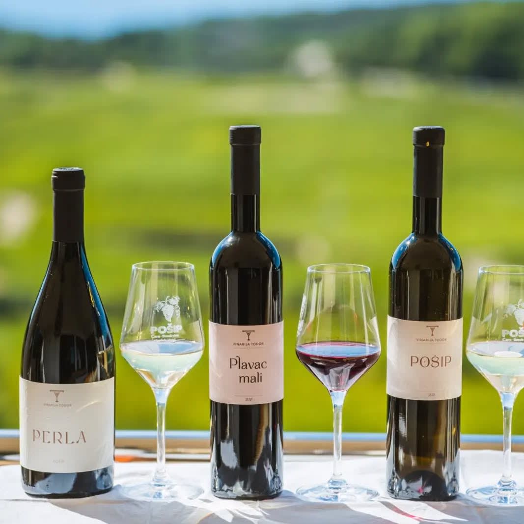Hero image for Todor Vinarija winery