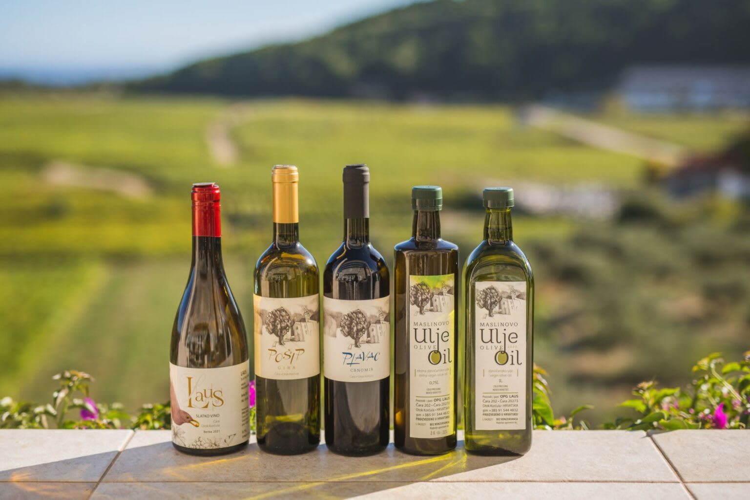 Hero image for OPG “Laus” Vinarija winery
