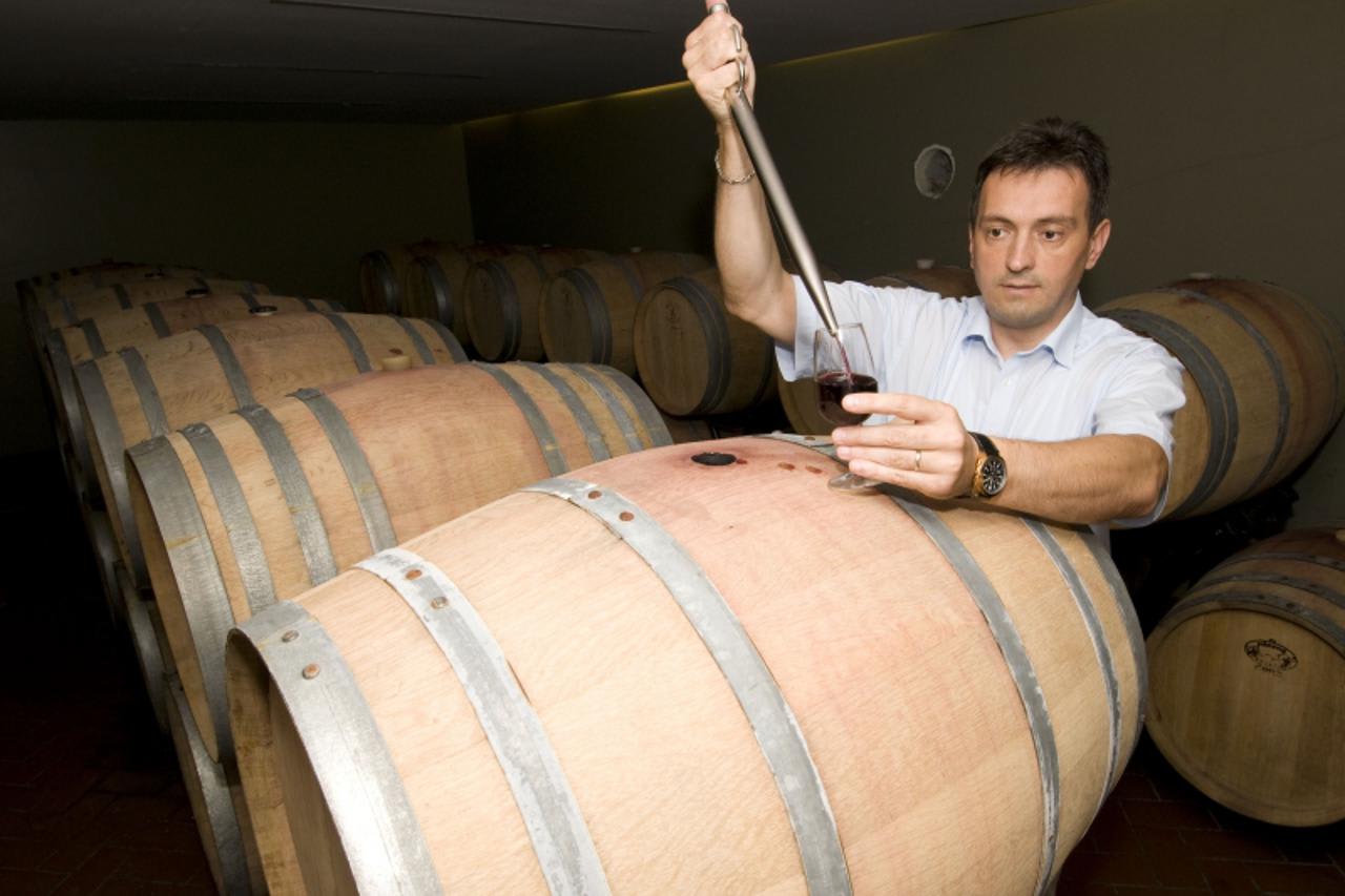 Hero image for Dingač Vinarija winery