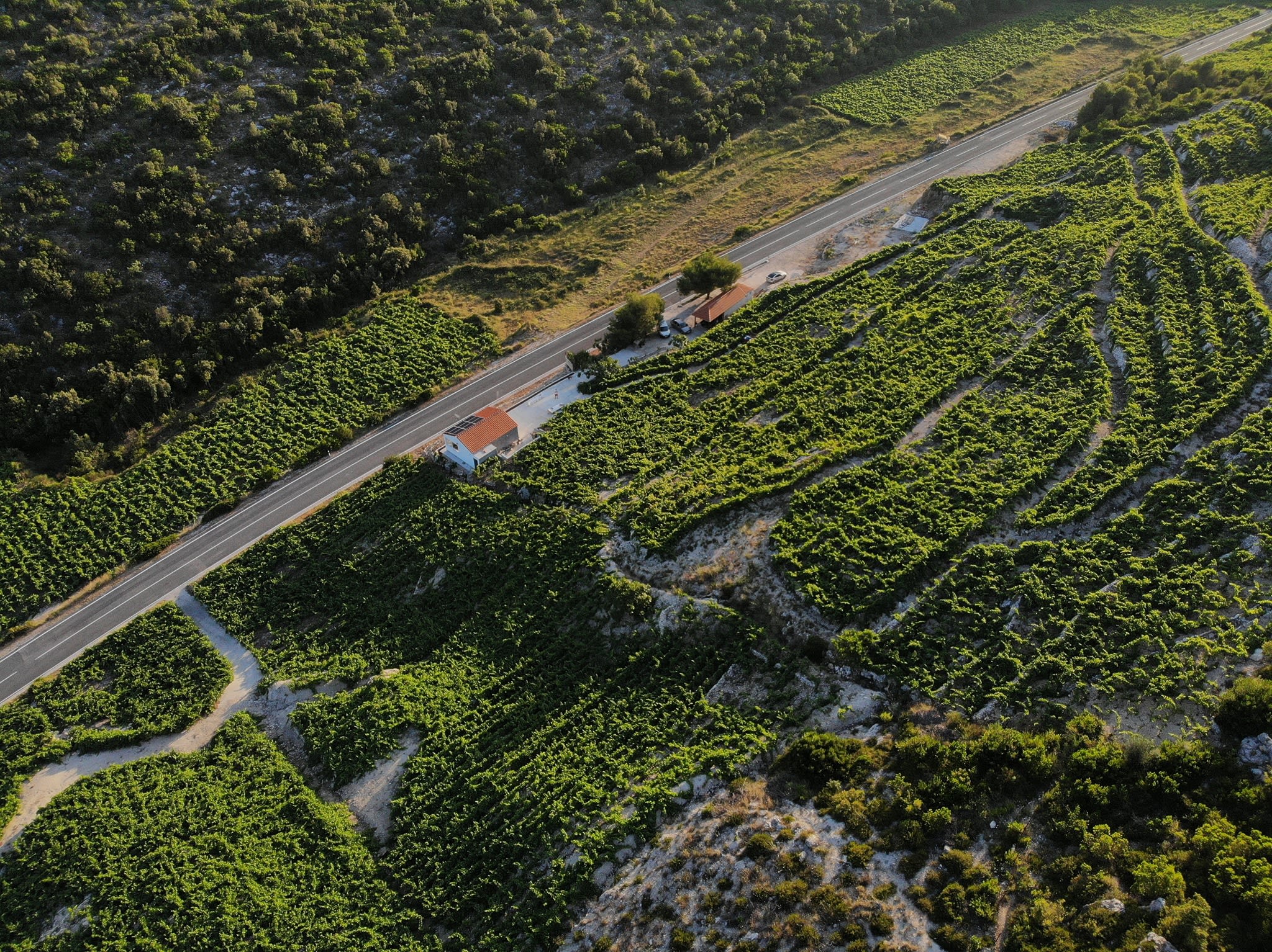Hero image for Željko Ledinić Vinarija winery