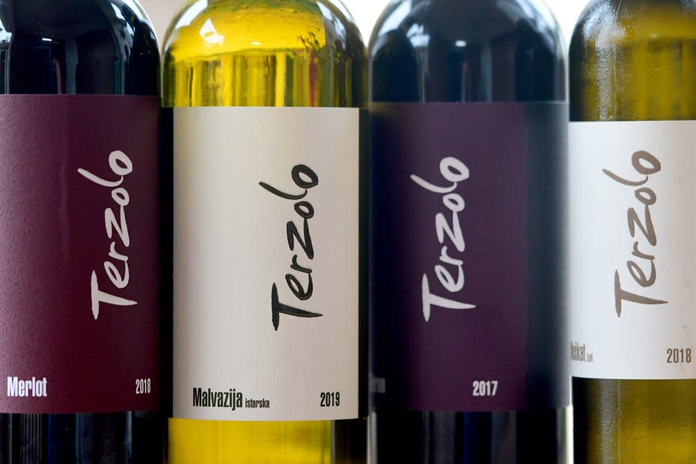 Hero image for Terzolo Vinarija winery