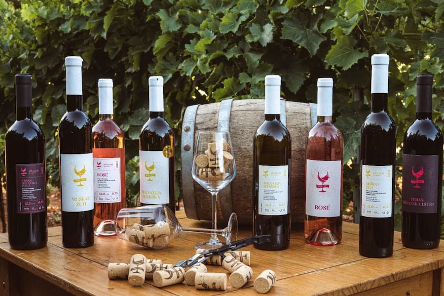 Hero image for Kos Vinarija winery