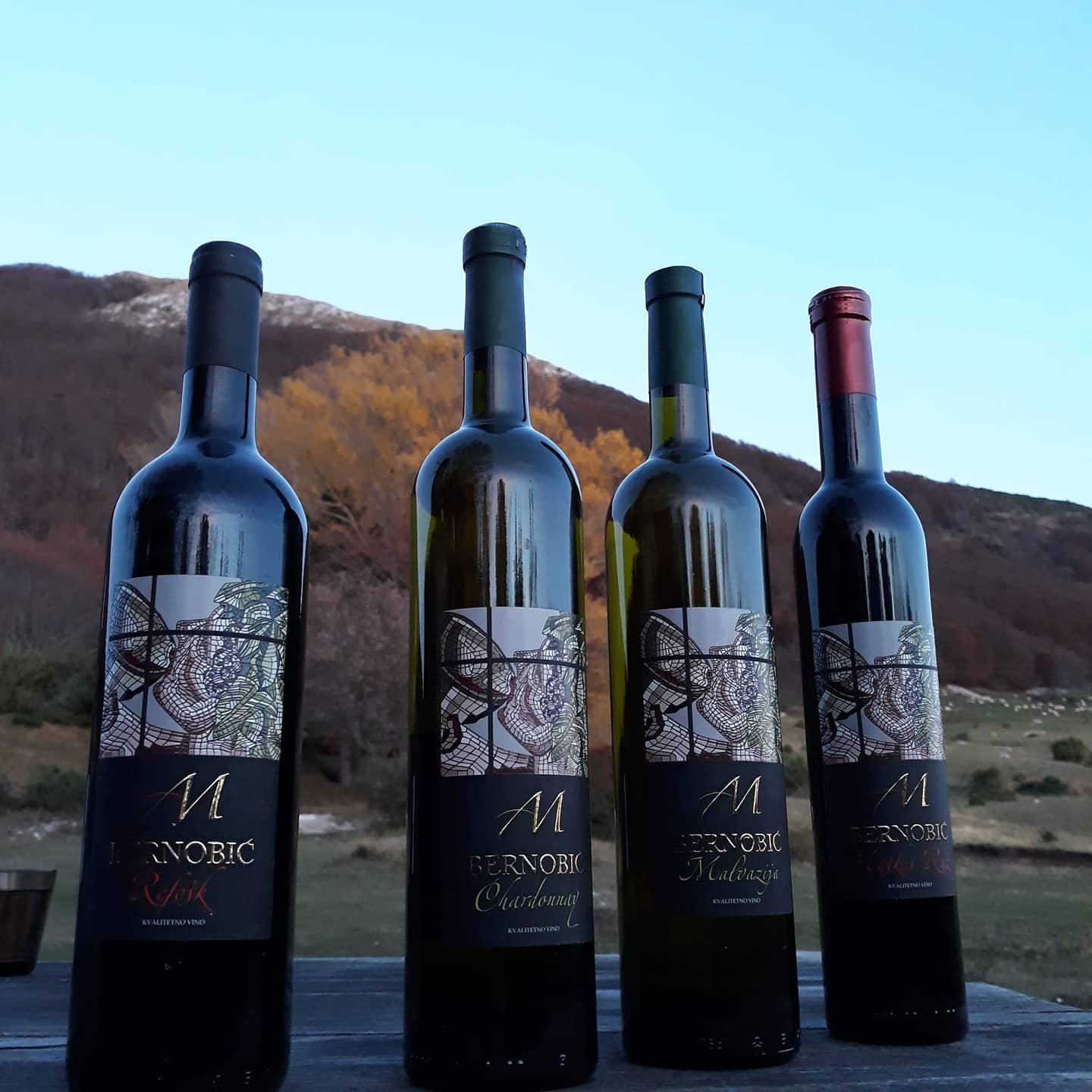 Hero image for Bernobić Vinarija winery