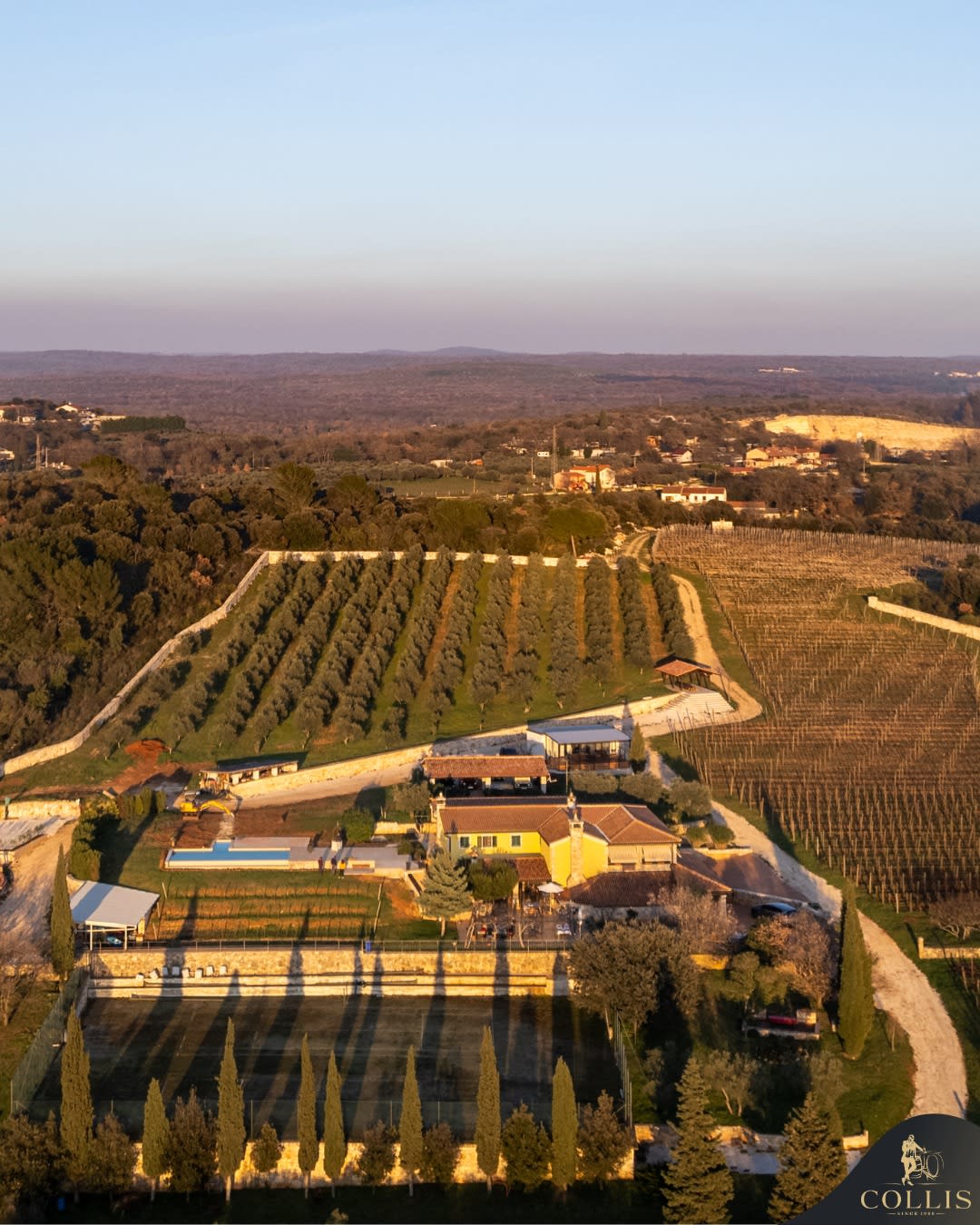 Hero image for Stancija Collis Vinarija winery