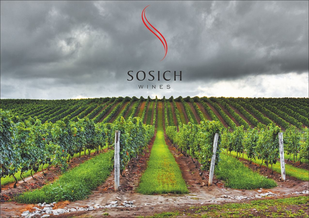 Sosich Vinarija winery logo