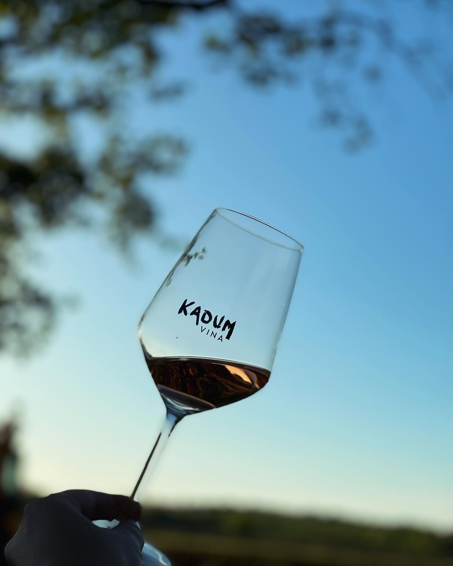 Kadum Vinarija winery logo