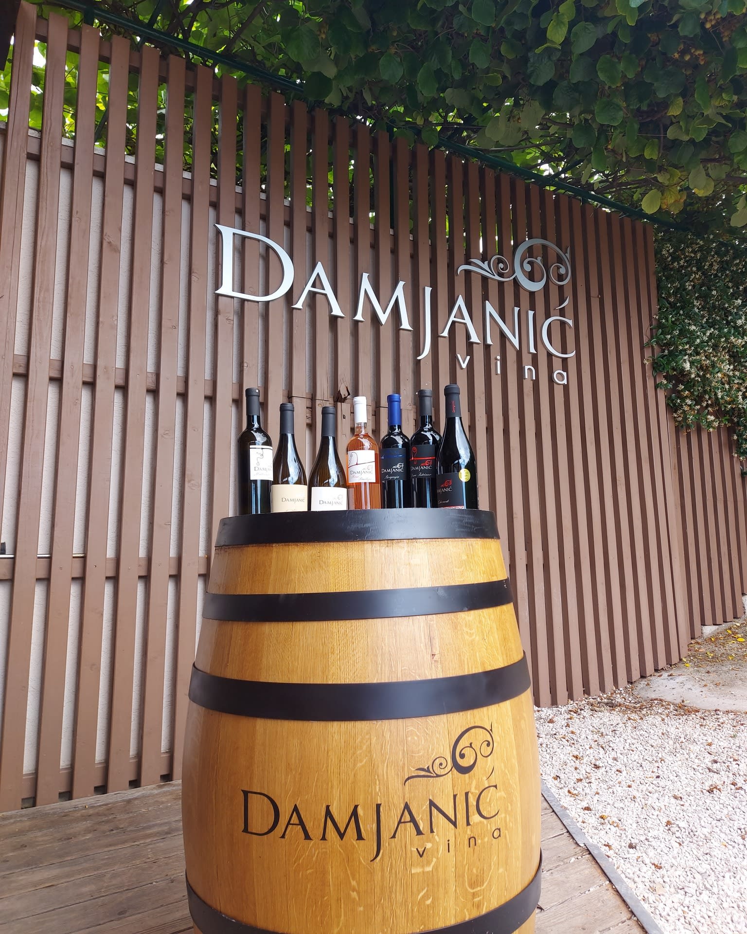 Damjanić Vinarija winery logo