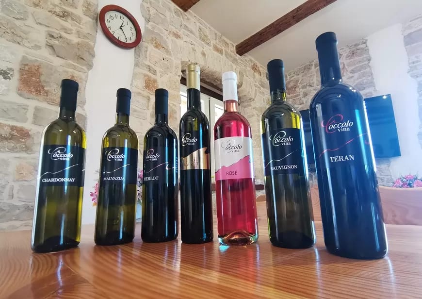 Hero image for Cocolo Winery winery