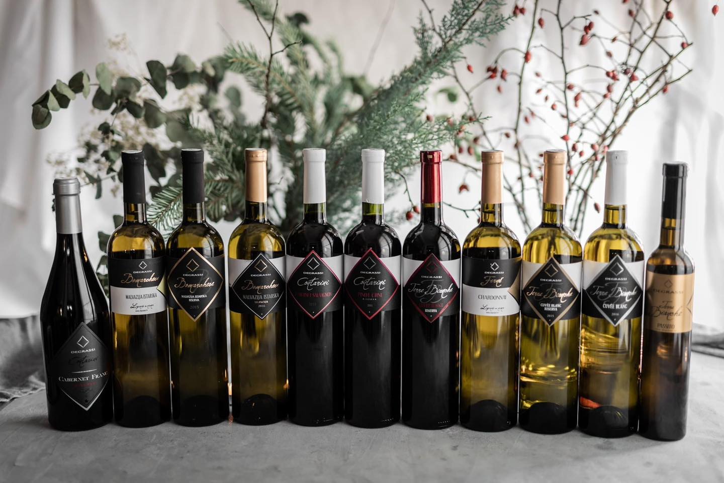 Hero image for Degrassi Vinarija winery