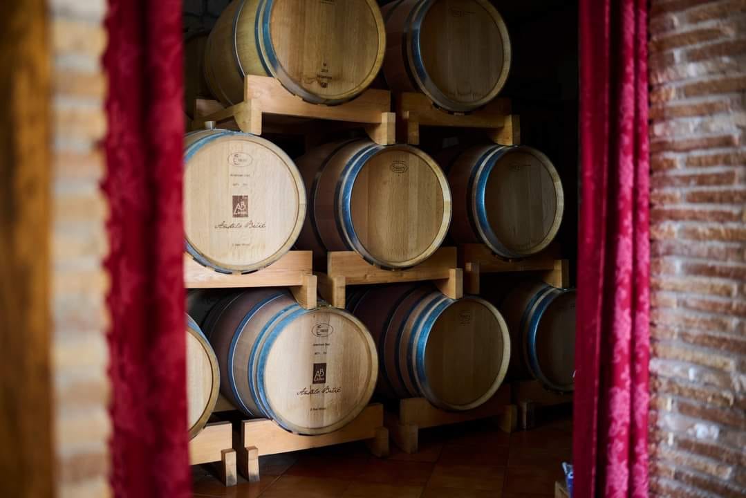 Hero image for Brčić Vinarija winery