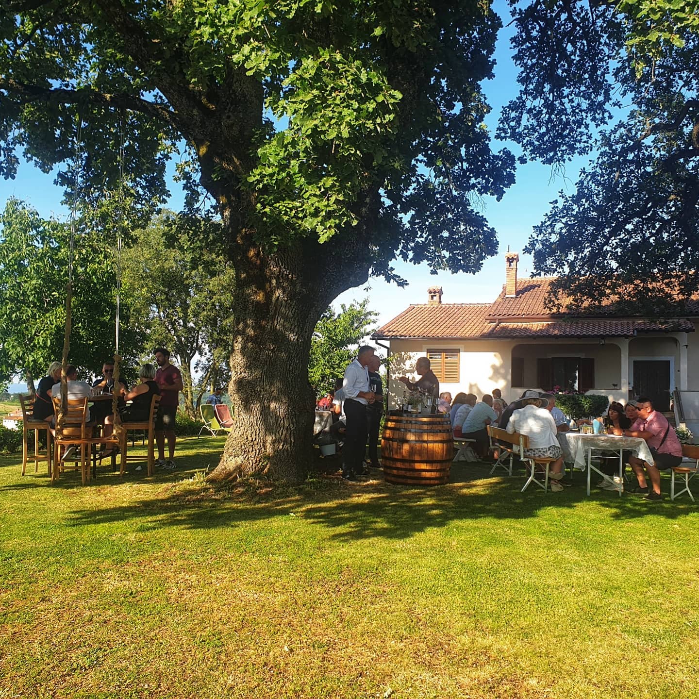 Vinarija Radanović - prostor ispred vinarije