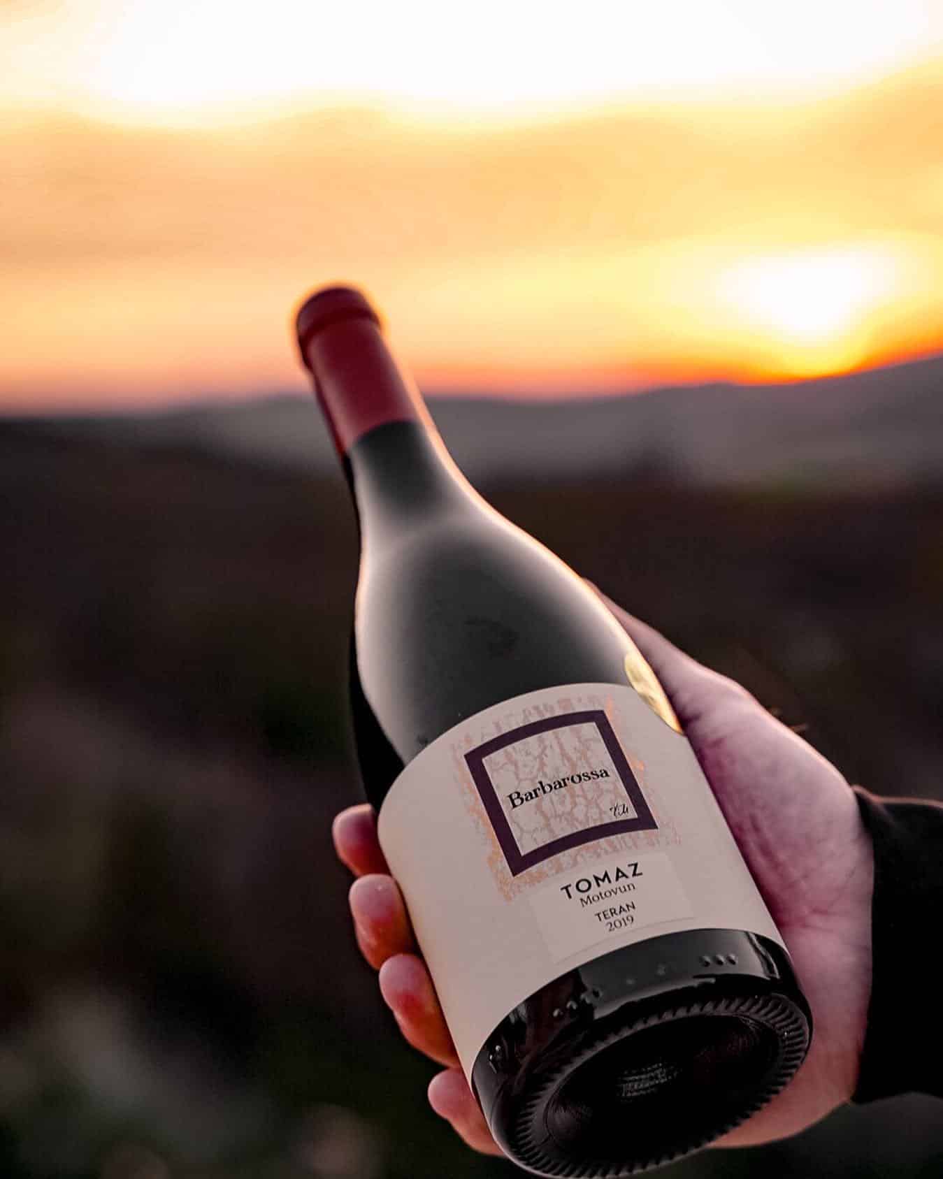 Vinarija Tomaz - teran Barbarossa