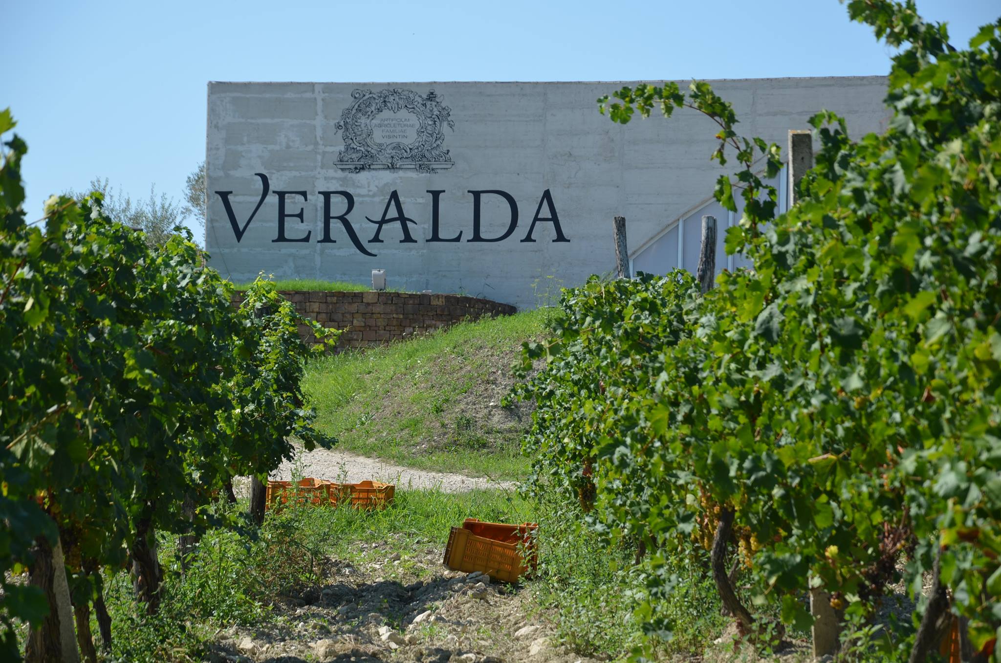 Vinarija Veralda - ulaz
