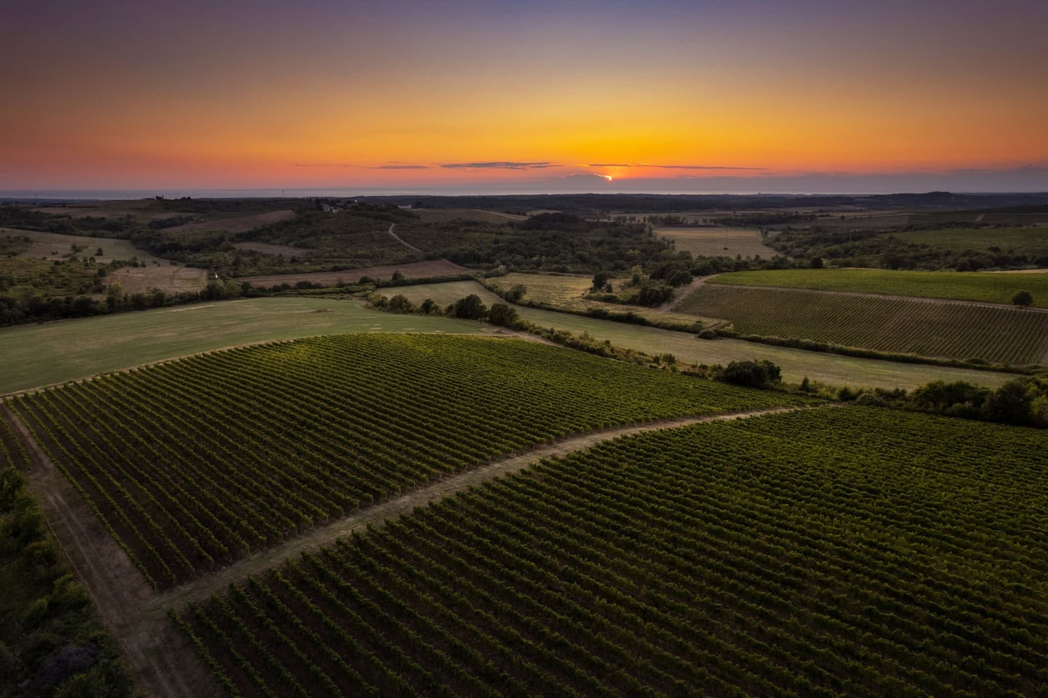 Vinarija Veralda - zalazak sunca