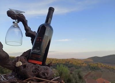 Hero image for Baran Vinarija winery