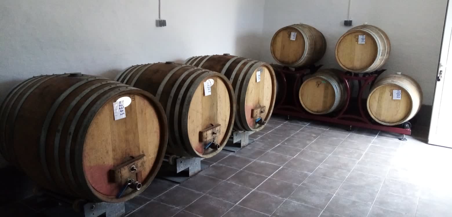 Matošin winery - wine cellar