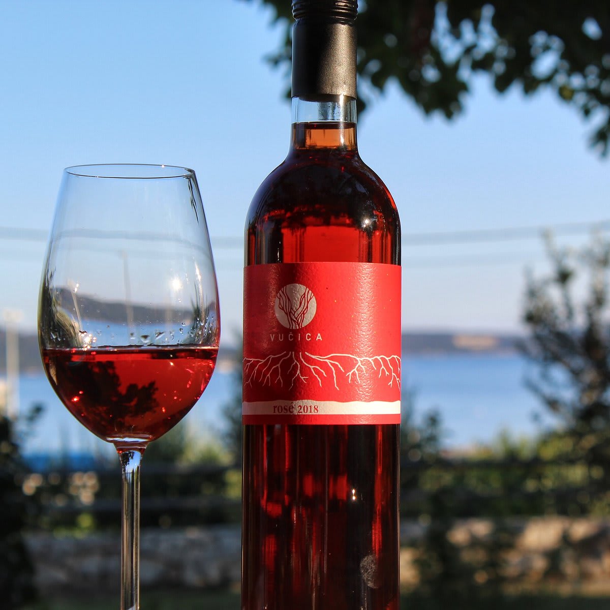 Vinarija Vučica rose
