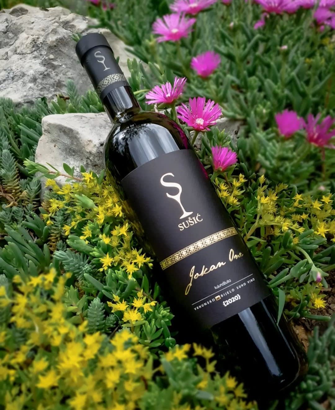 Vinarija Sušić Jokan