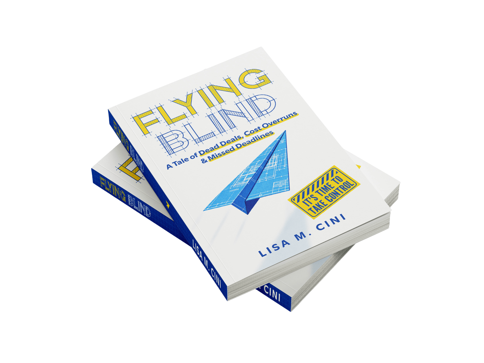 Flying Blind by Lisa M. Cini