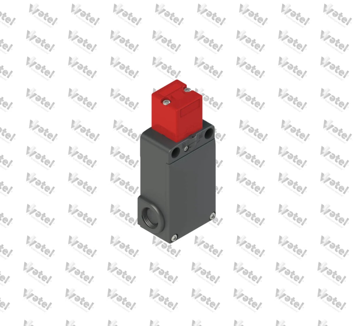 FS-2096D024-M2 - FS-2096D024-M2 Güvenlik Anahtarı 1NA-2NK