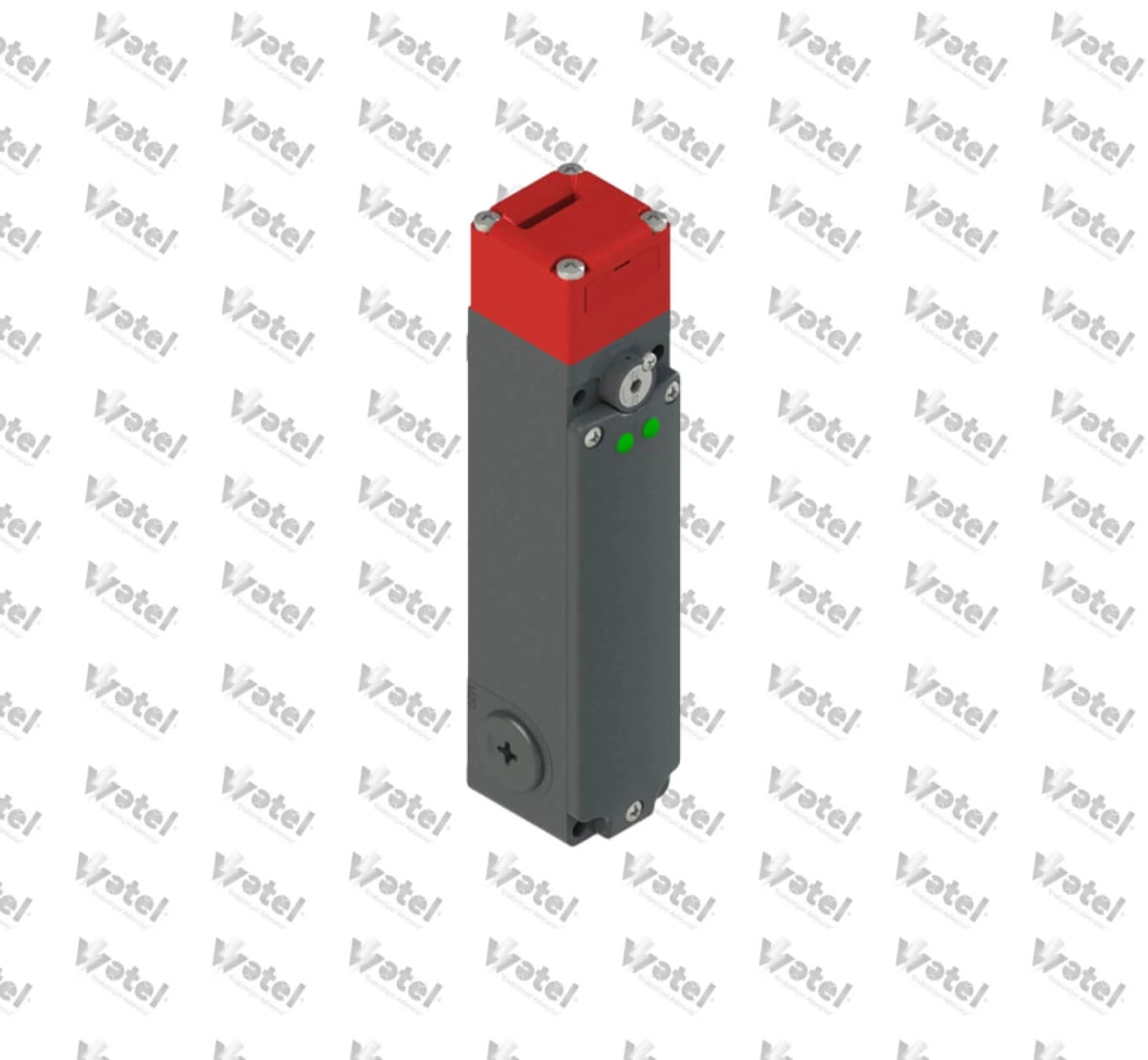 FG 60BD1D0A - FG 60BD1D0A Emniyet Anahtarı Kilitli Ayrı Aktüatörlü