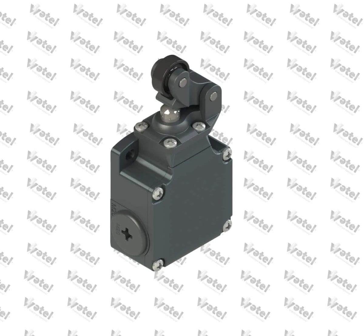 FL 502 - FL 502 Tek Yönlü Silindirli Pozisyon Anahtarı