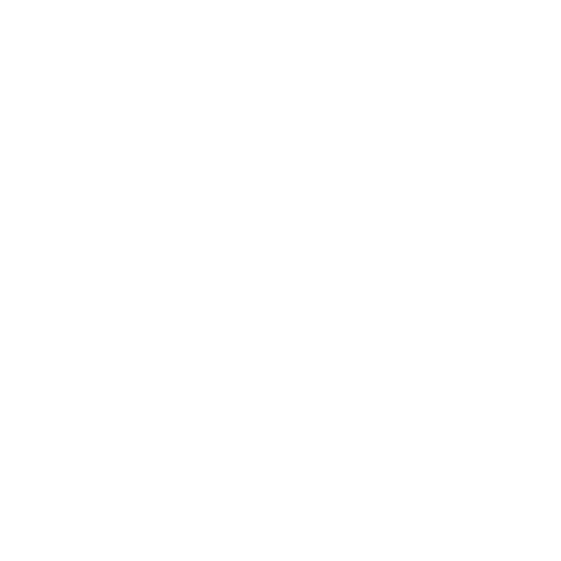 Fleet car Chauffeur NYC