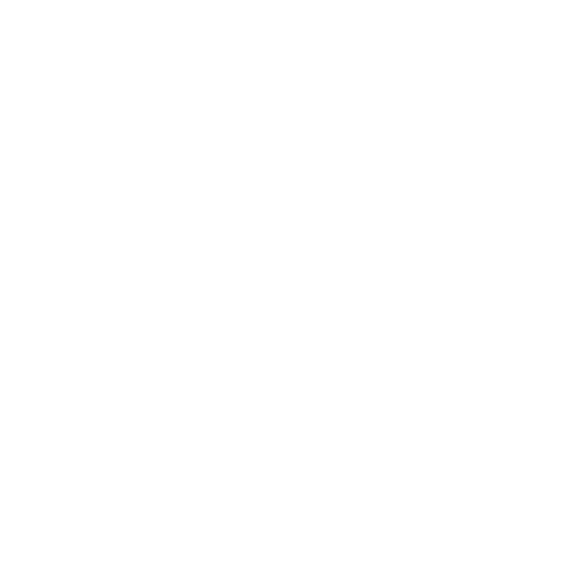 Fleet car Chauffeur NYC