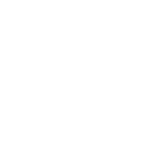 Fleet car Chauffeur NYC