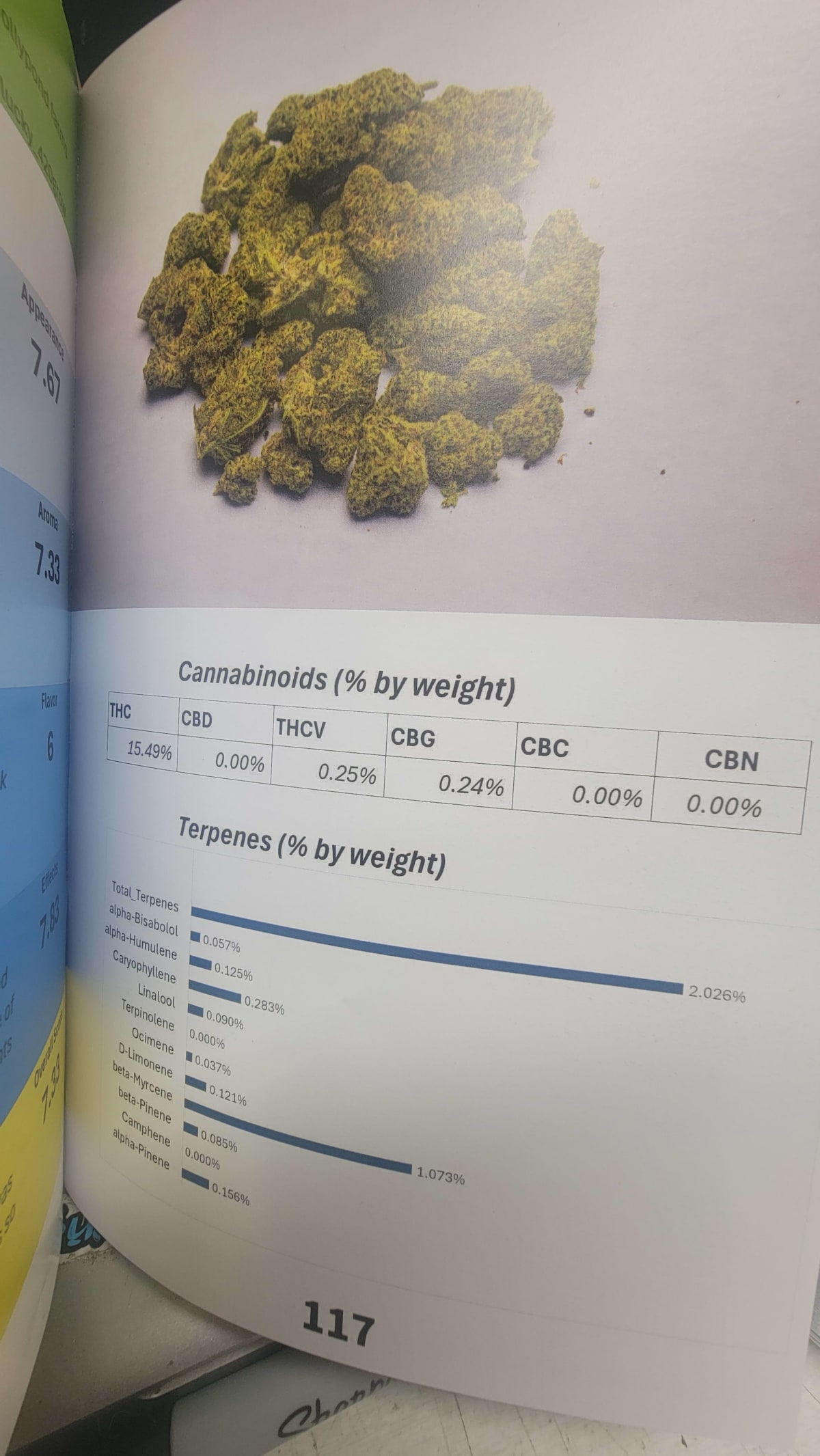 Freyas Marmalade Lab Report