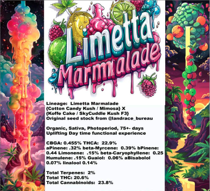 Limetta Marmalade Lab Report