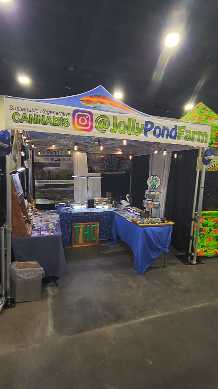 harvestcuptentsetup.jpg