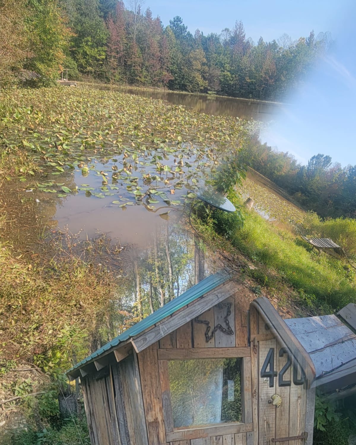 pondcabincollage.jpg