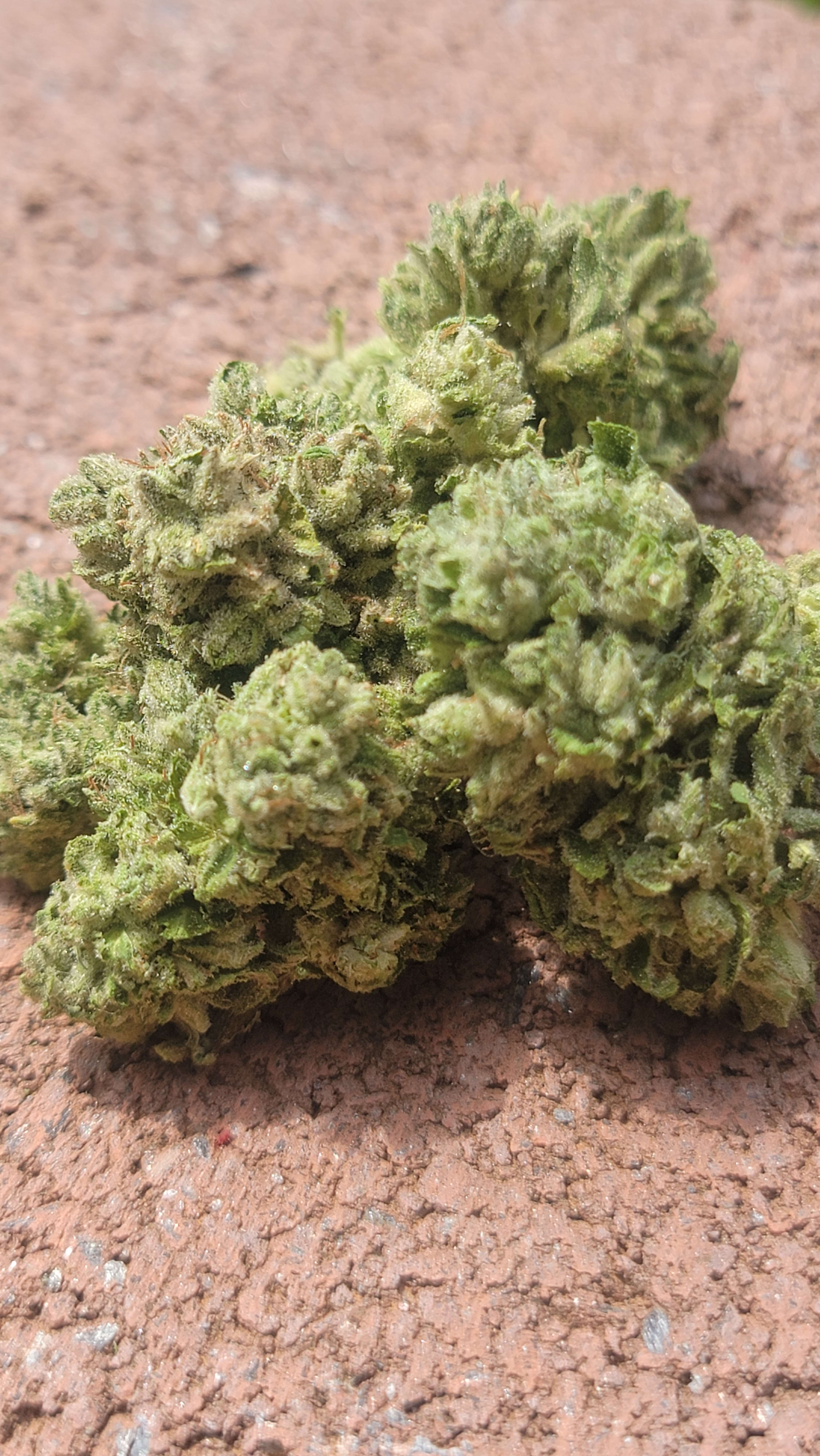 White Afghani S1 photo 3