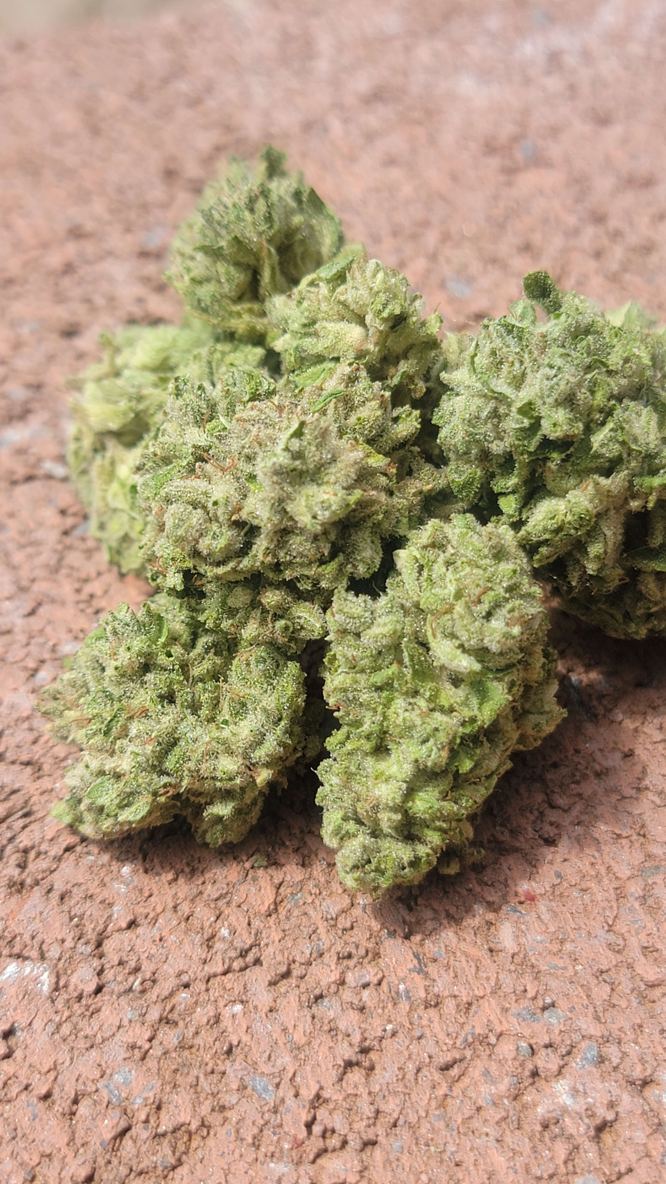 White Afghani S1 photo 4