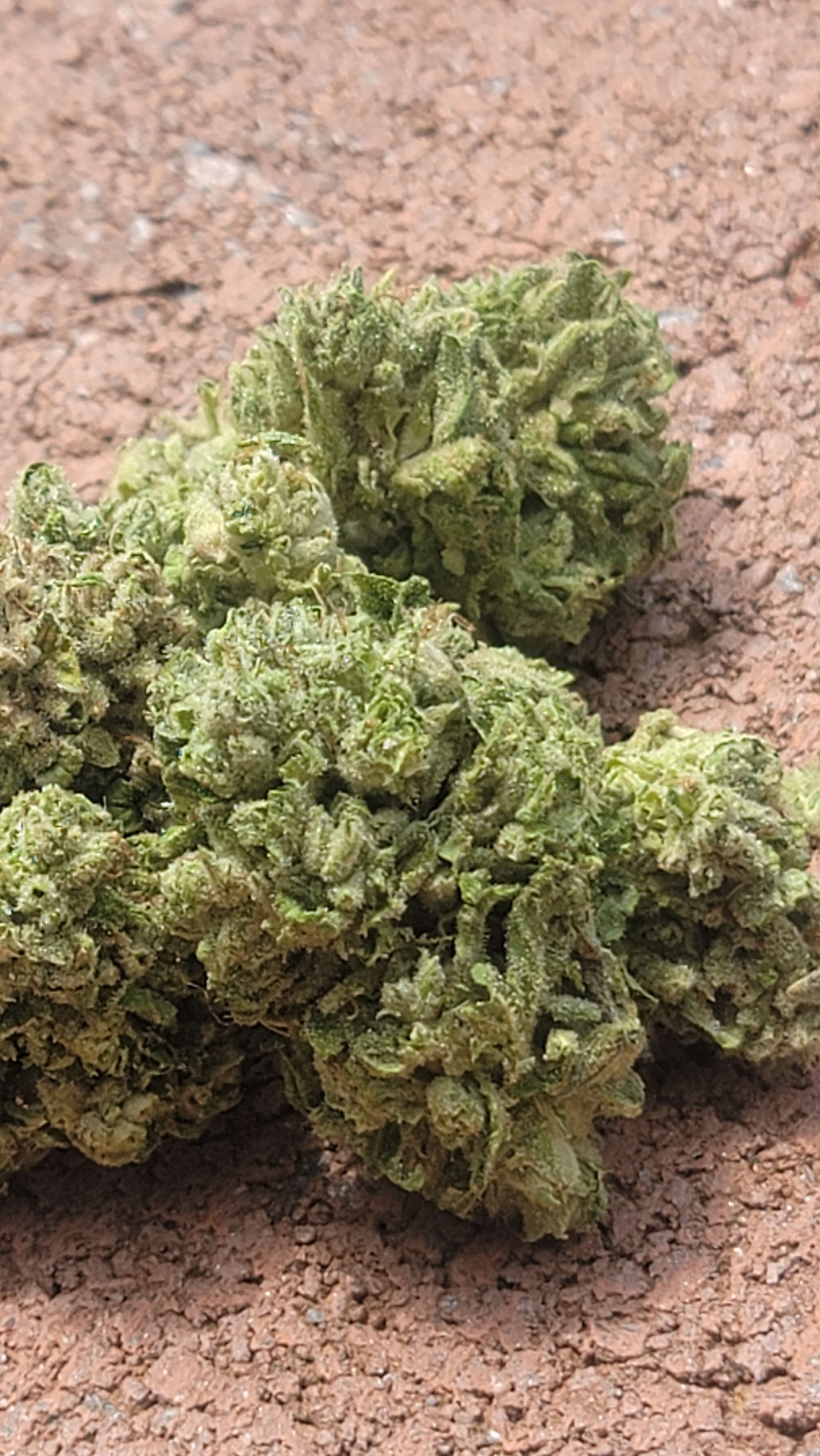 White Afghani S1 photo 6