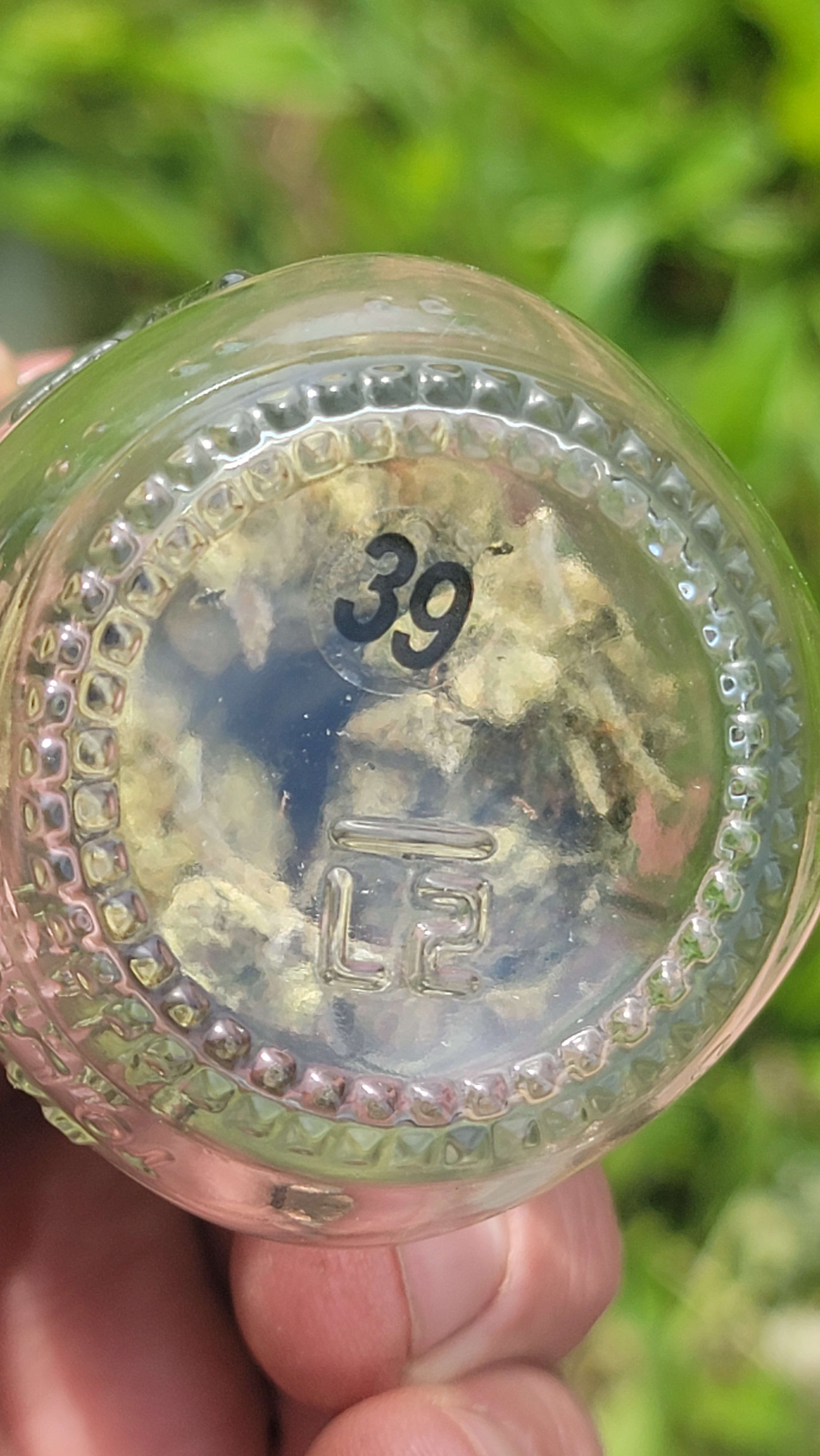 Gooberry Moonshine photo 1