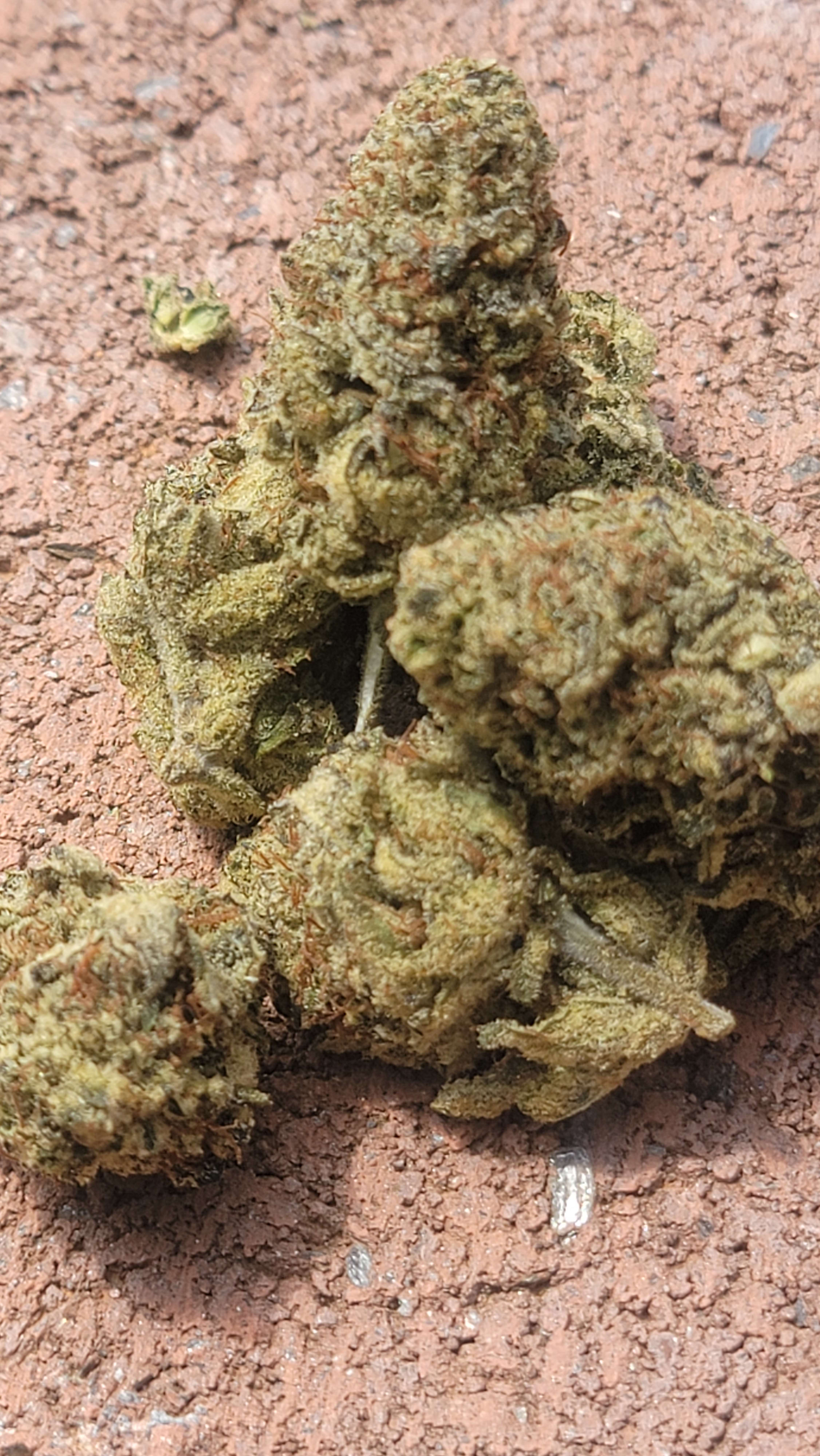 Gooberry Moonshine photo 2