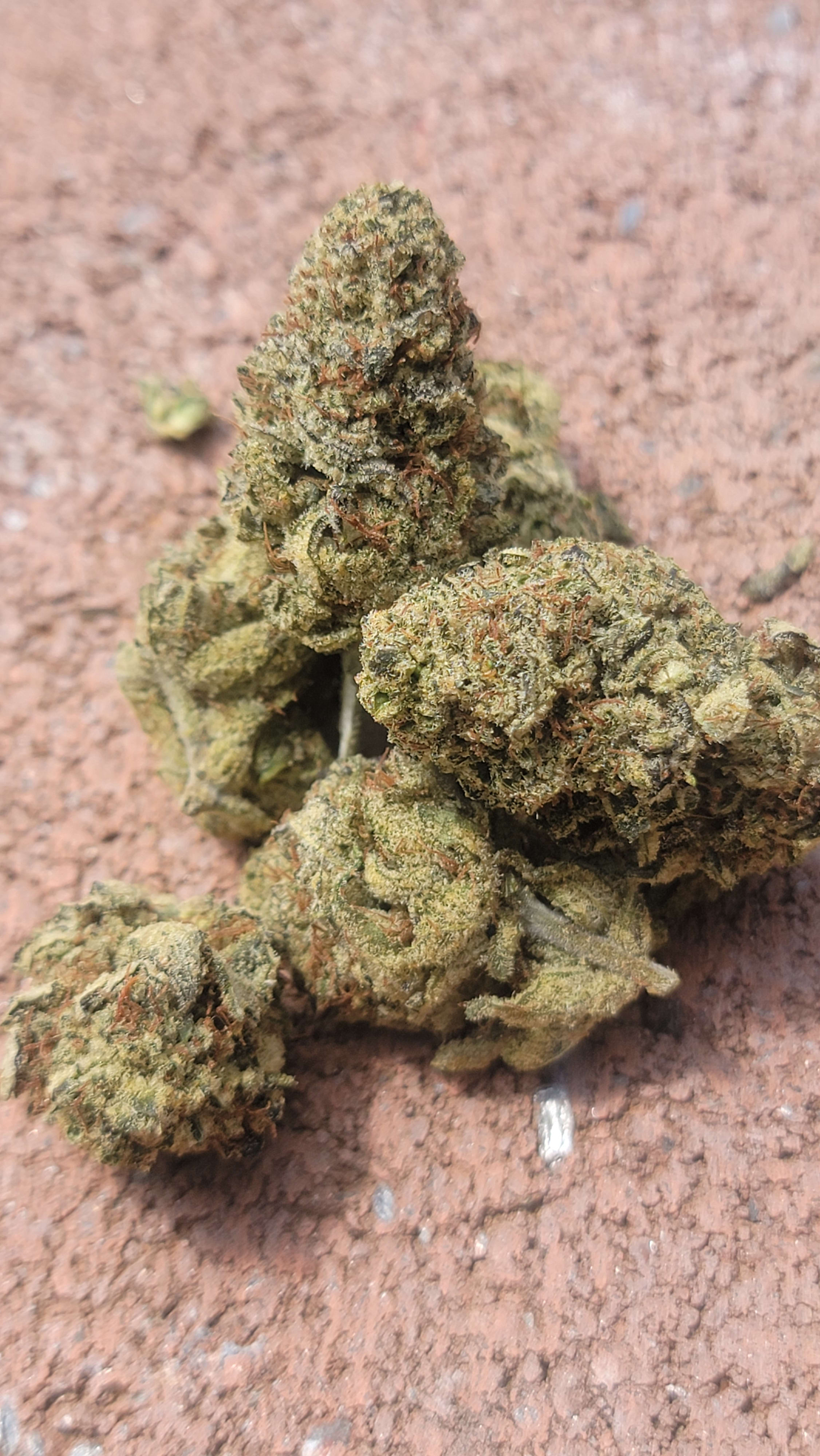 Gooberry Moonshine photo 3