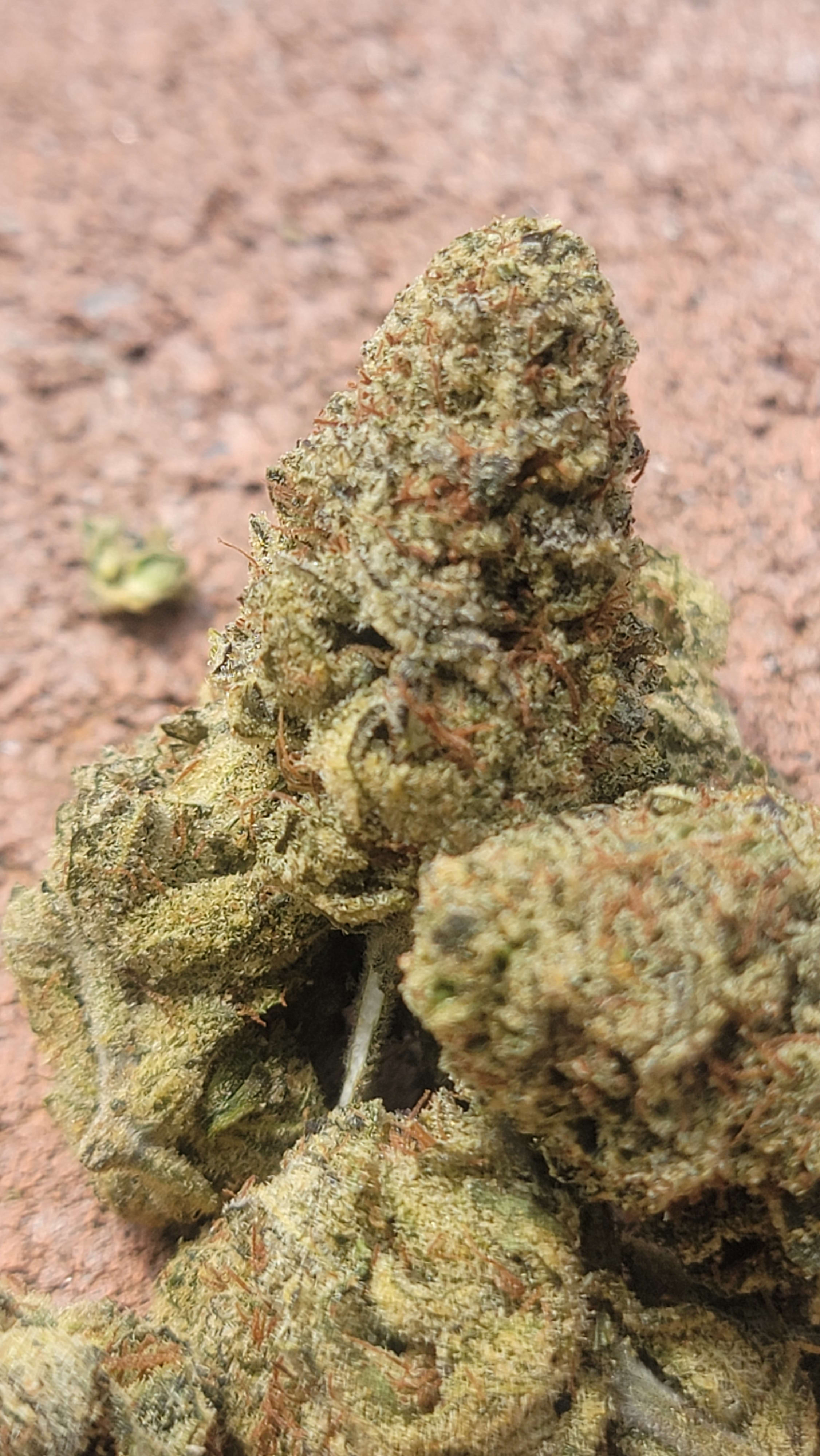 Gooberry Moonshine photo 4