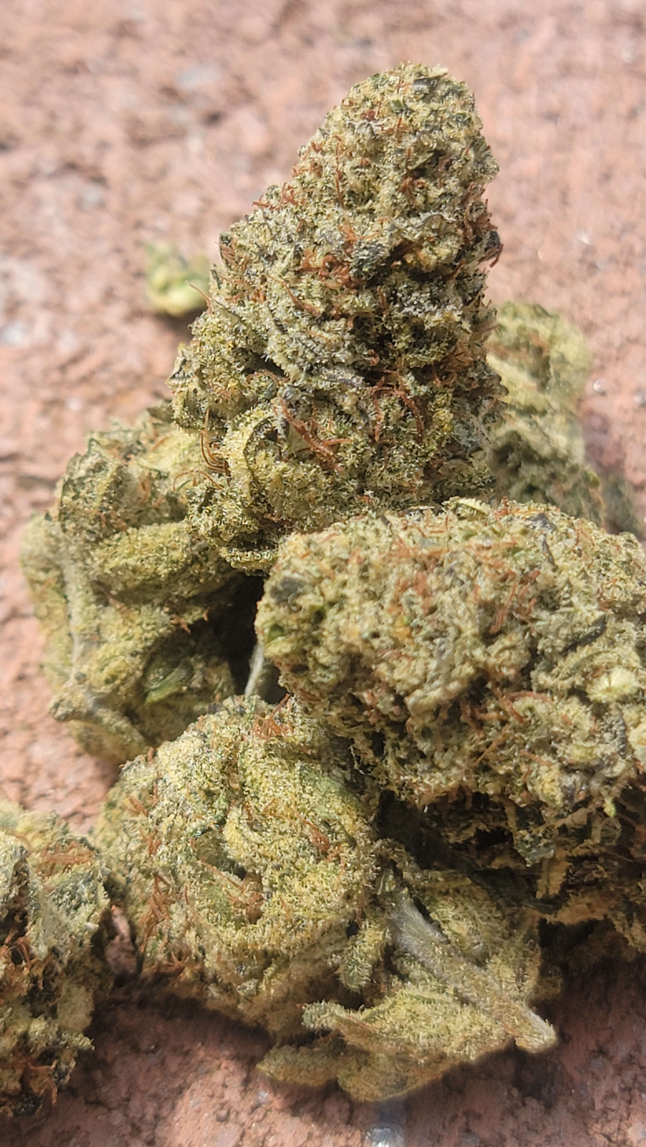 Gooberry Moonshine photo 5