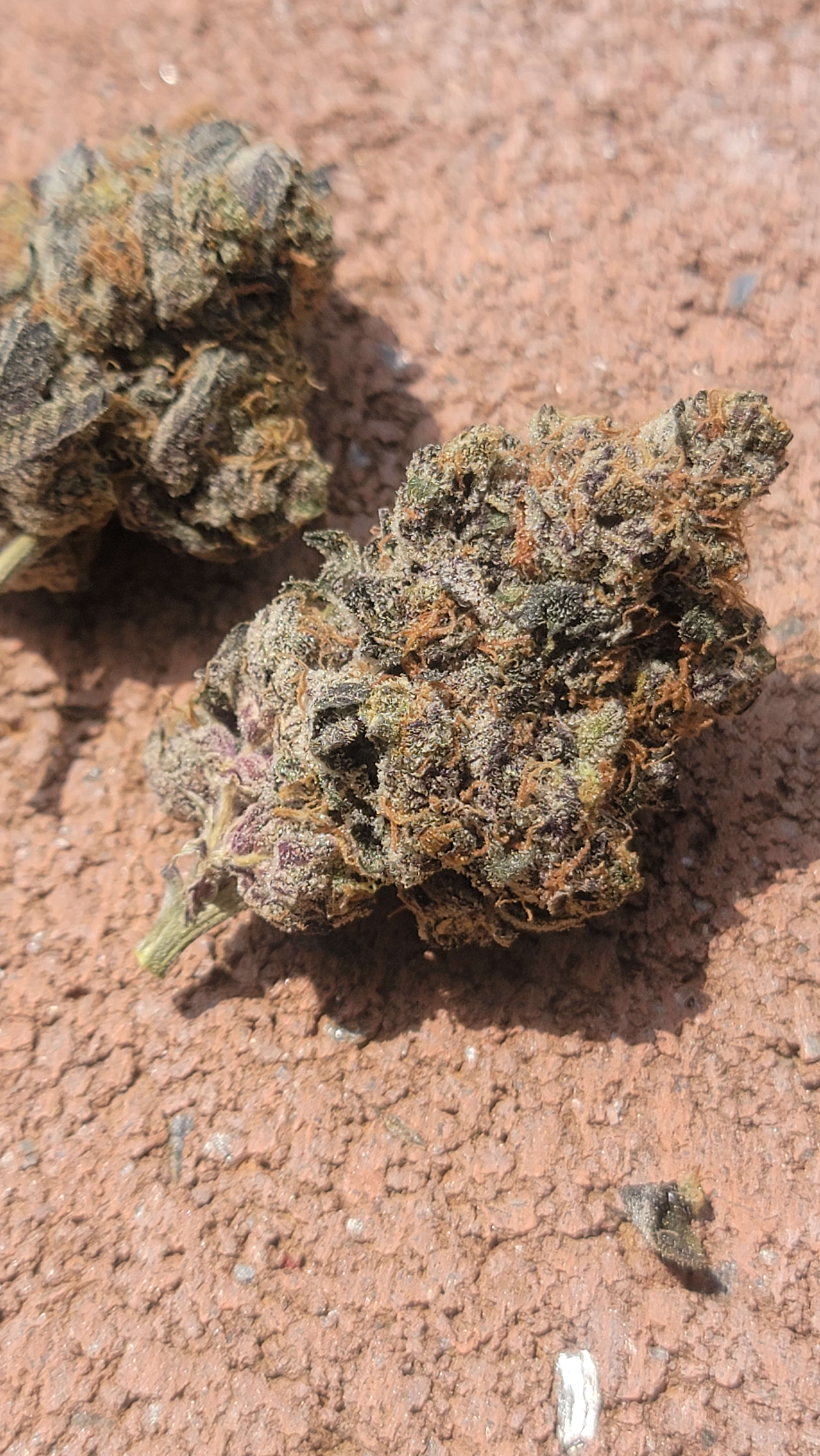 Lemon Slam photo 1