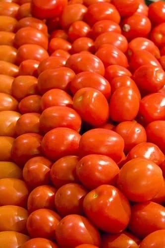 Fresh Tomatoes  - Image 1